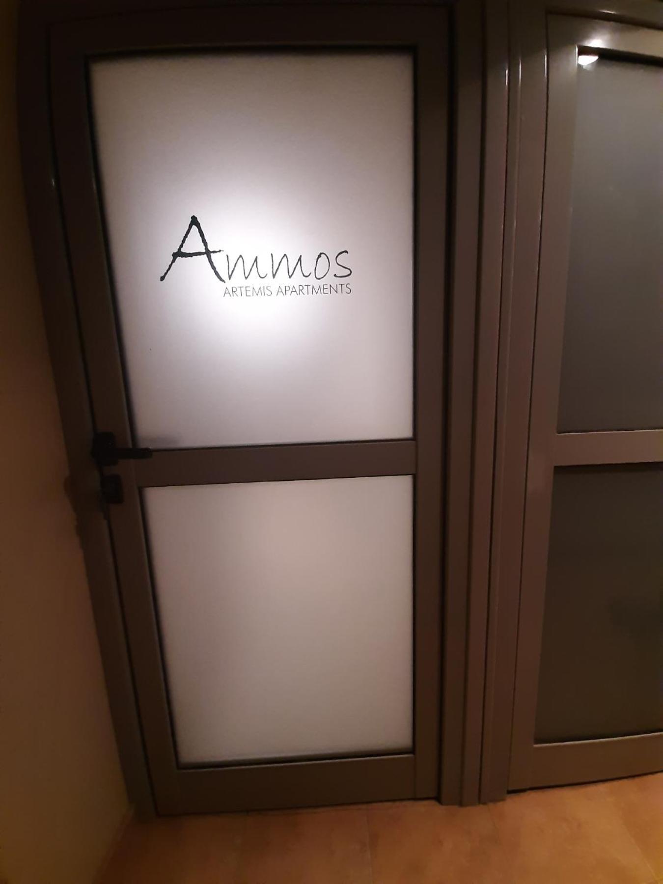 Ammos Artemis Apartments Exterior photo